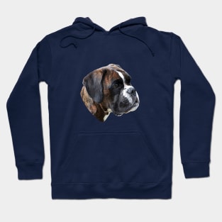 Boxer A Beautiful Brindle Boxer Head Hoodie